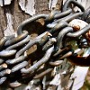 Nachhaltiges Linkbuilding